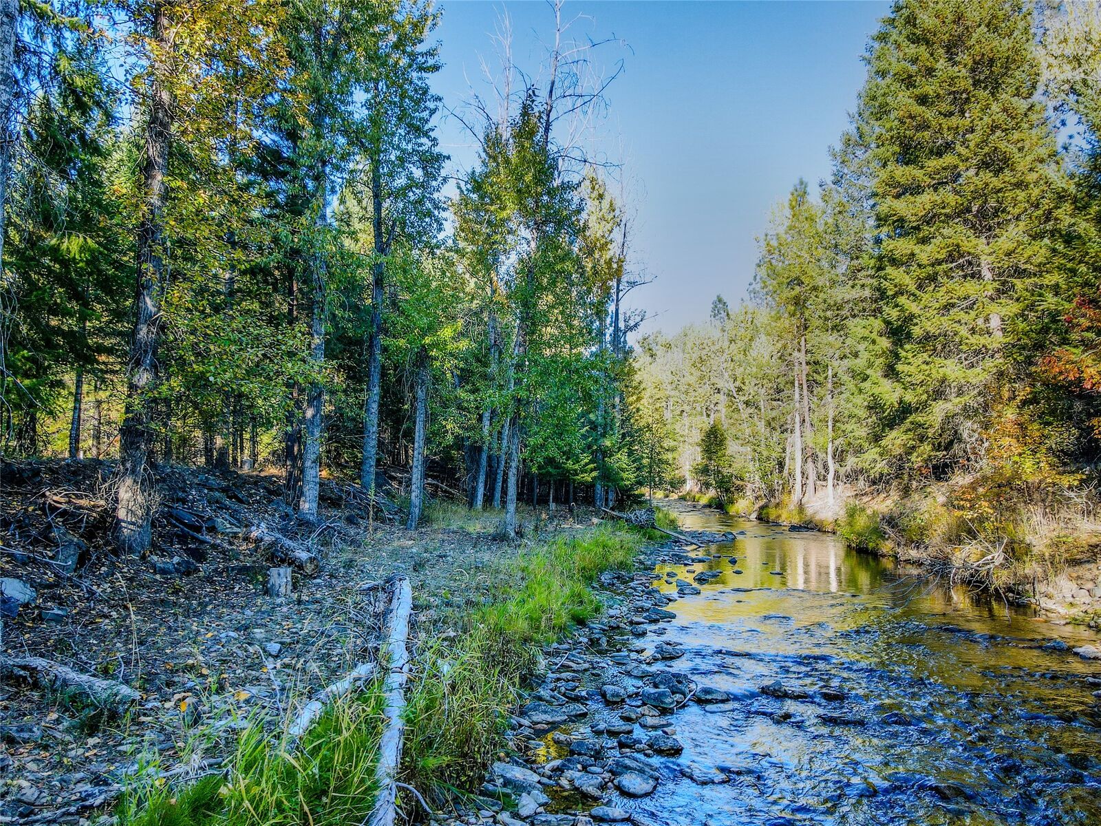 Property Photo: 66 Bobtail Road MT 59923