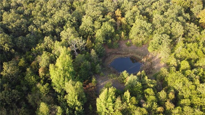 Property Photo:  10 Acres Cr 9204  AR 72611 