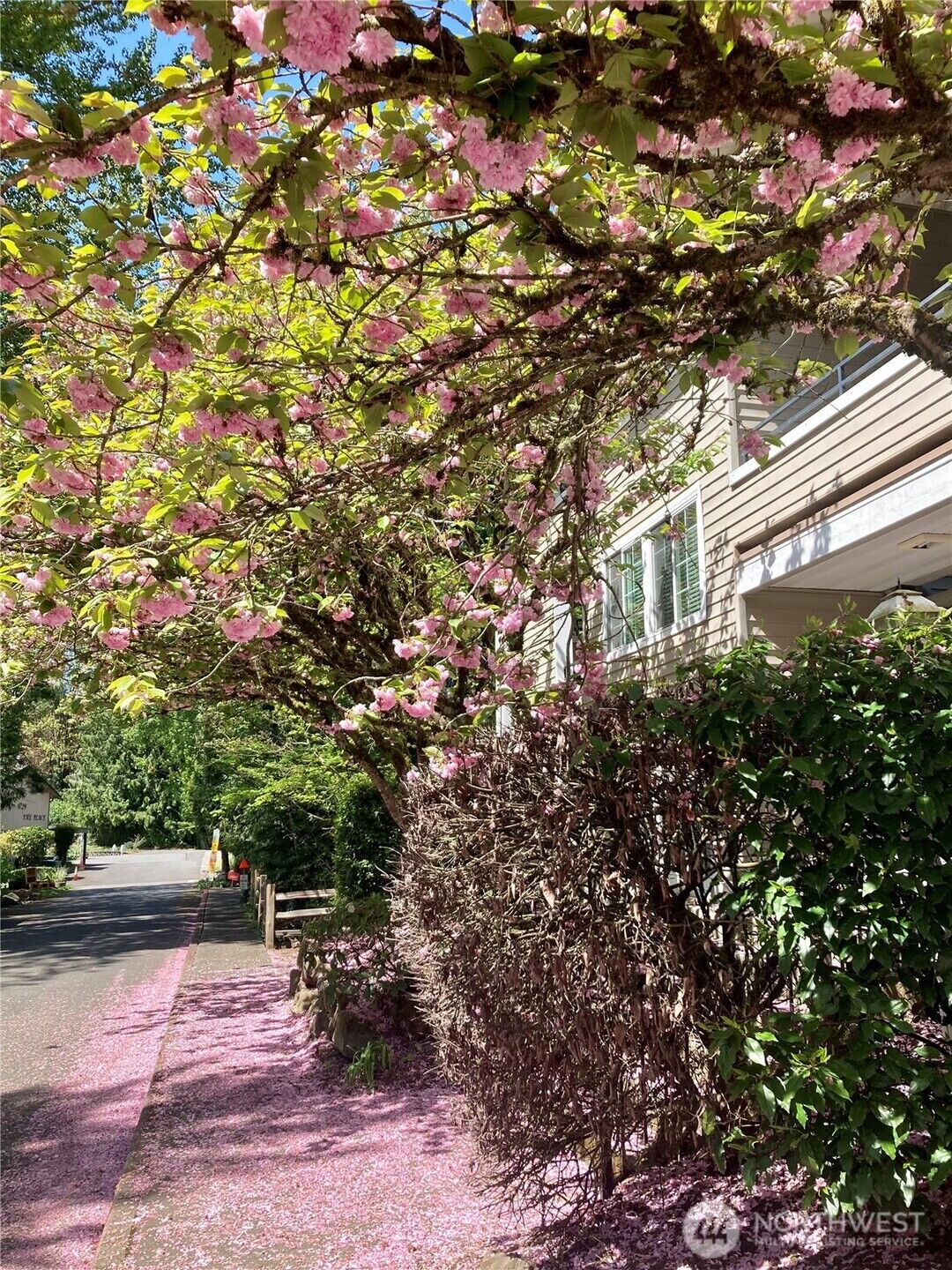 Property Photo:  9822 NE 122nd Street U201  WA 98034 