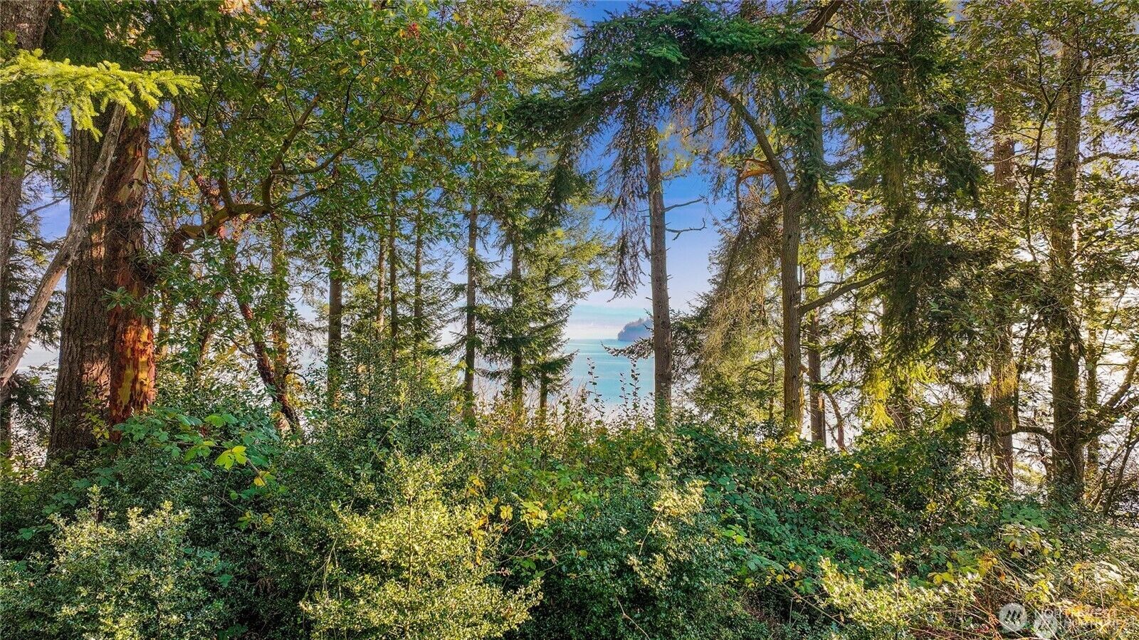 Property Photo: 0 Xxx Waterside Lane WA 98260
