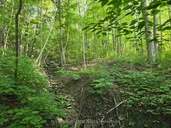 Property Photo:  130 Old Highway 26 Highway  ON N4L 1W7 