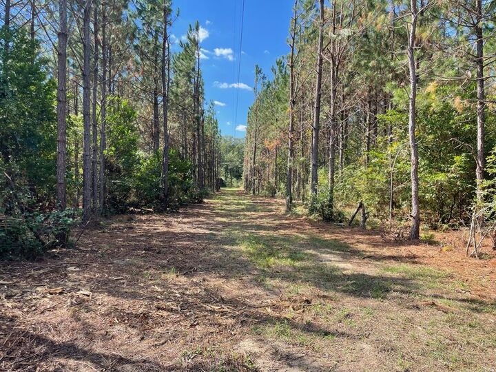 Property Photo:  573 Frank Road  GA 31750