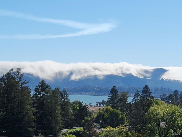 53 Mercury Avenue  Tiburon CA 94920 photo