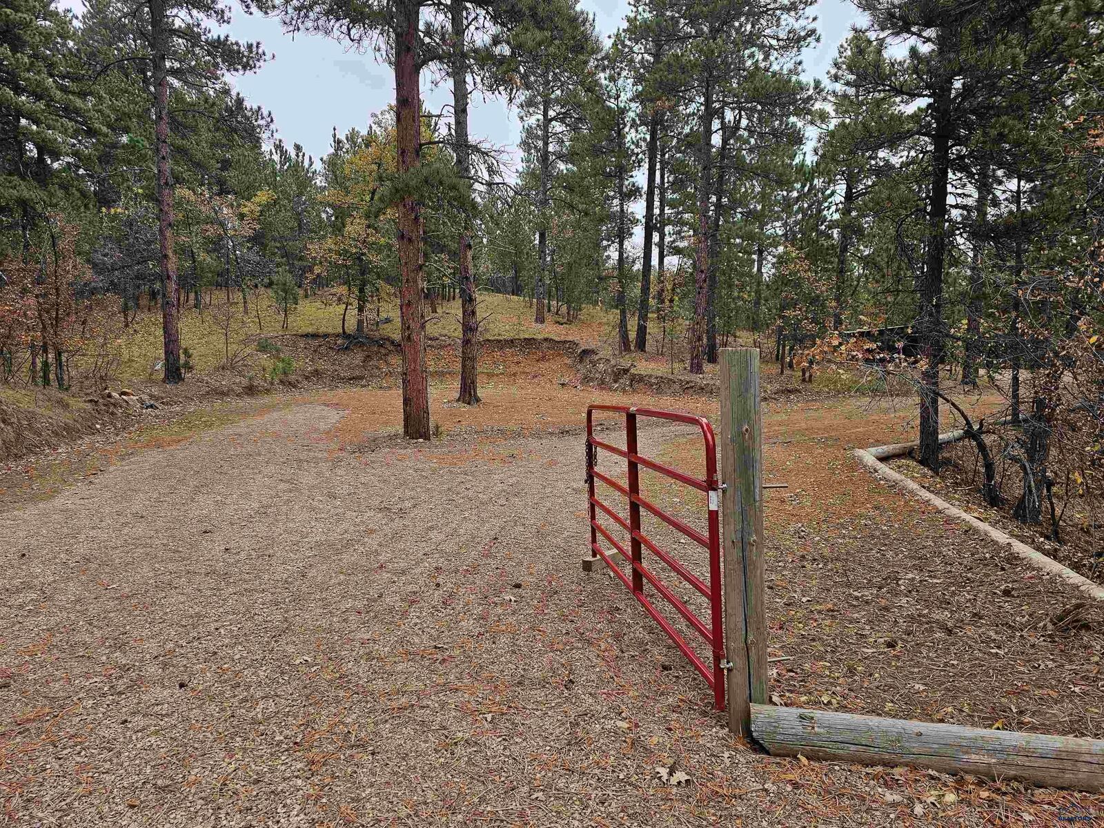 Property Photo:  12110 Other 12110 You Turn Lane  SD 57785 