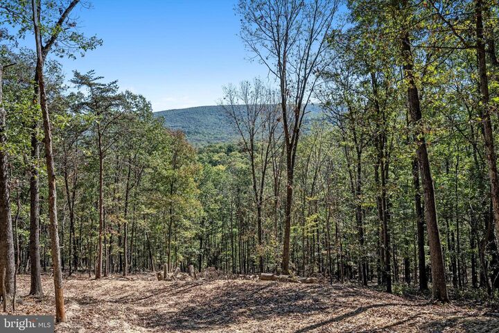 Property Photo: Lot 6 Back Creek Rd VA 22637