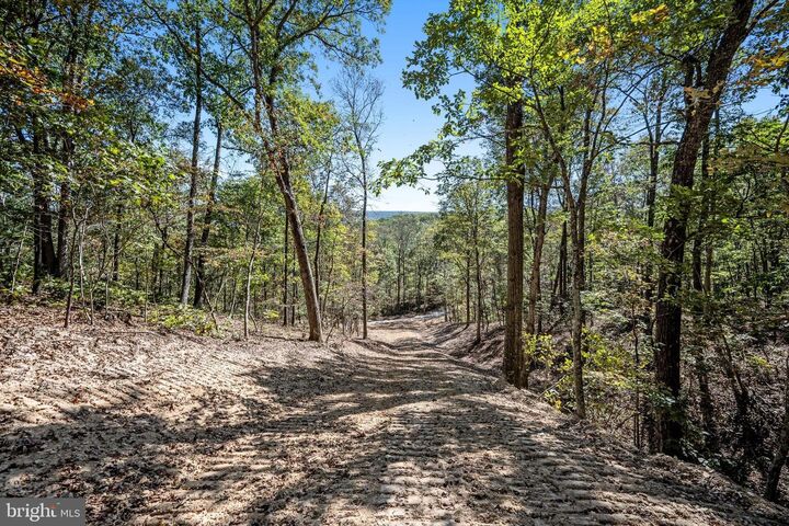 Property Photo: Lot 6 Back Creek Rd VA 22637