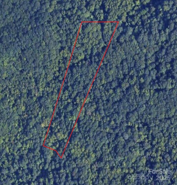 Property Photo:  0 Harwood Road  NC 28709 