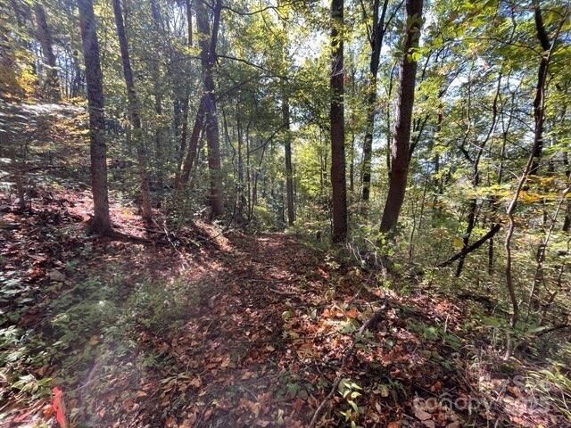 99999 Moody Cove Road  Weaverville NC 28787 photo