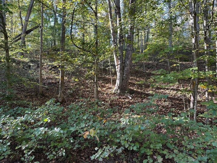 Property Photo: 39454 Boston Road OH 45772