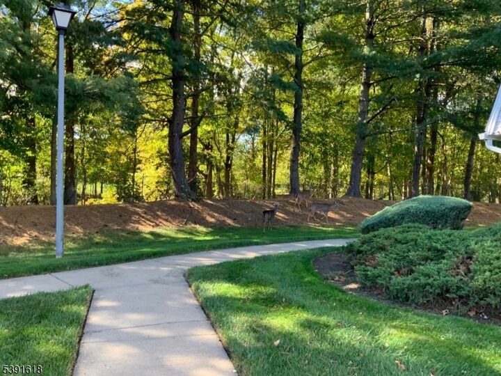 Property Photo: 37 Wareham Ct NJ 07076