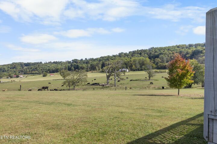 Property Photo: 178 Shyane Lane TN 37874
