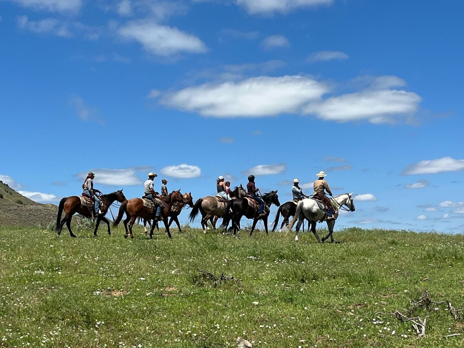 Property Photo:  60 Five Mile Creek Road  MT 59026 