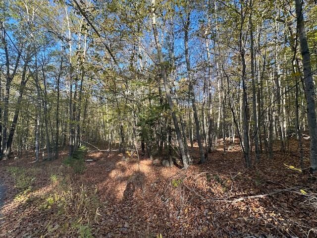 Property Photo:  0 Old Walpole Road  NH 03431 