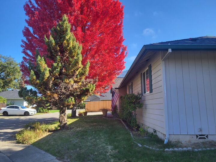 Property Photo:  1841 Cloverlawn Drive  OR 97527 