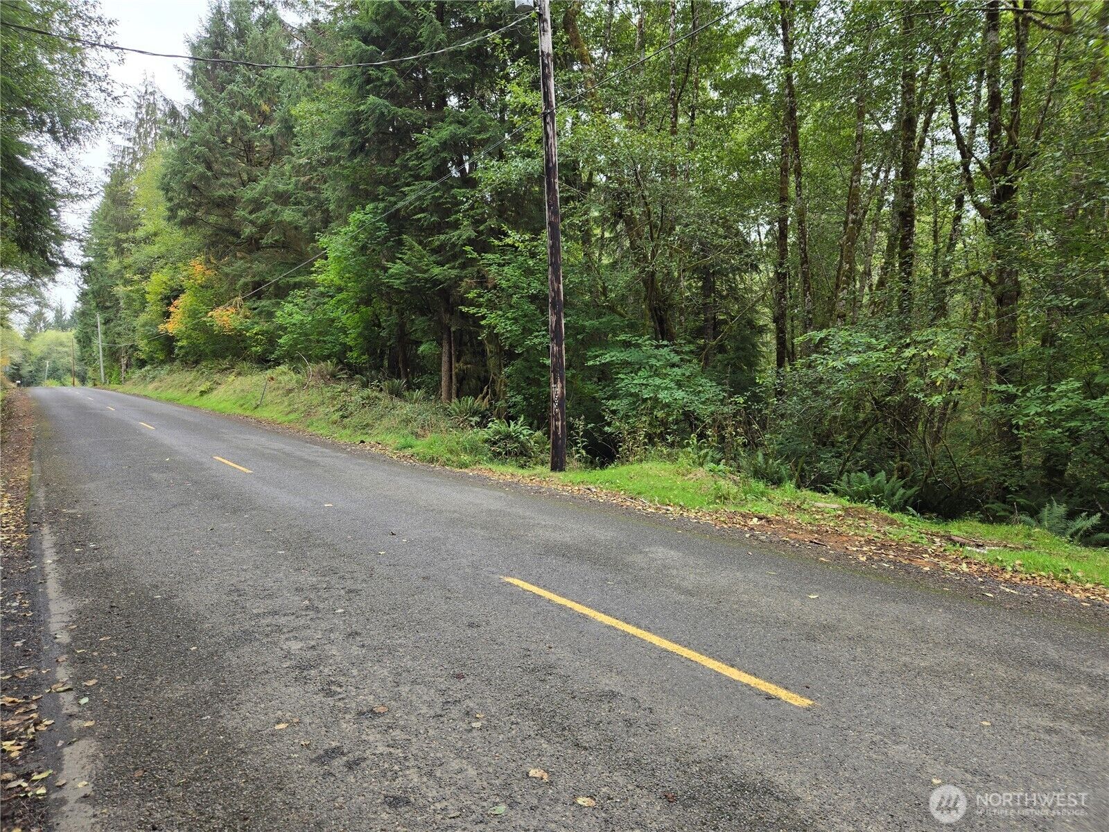 Property Photo:  0 Nka  Lund Road  WA 98537 