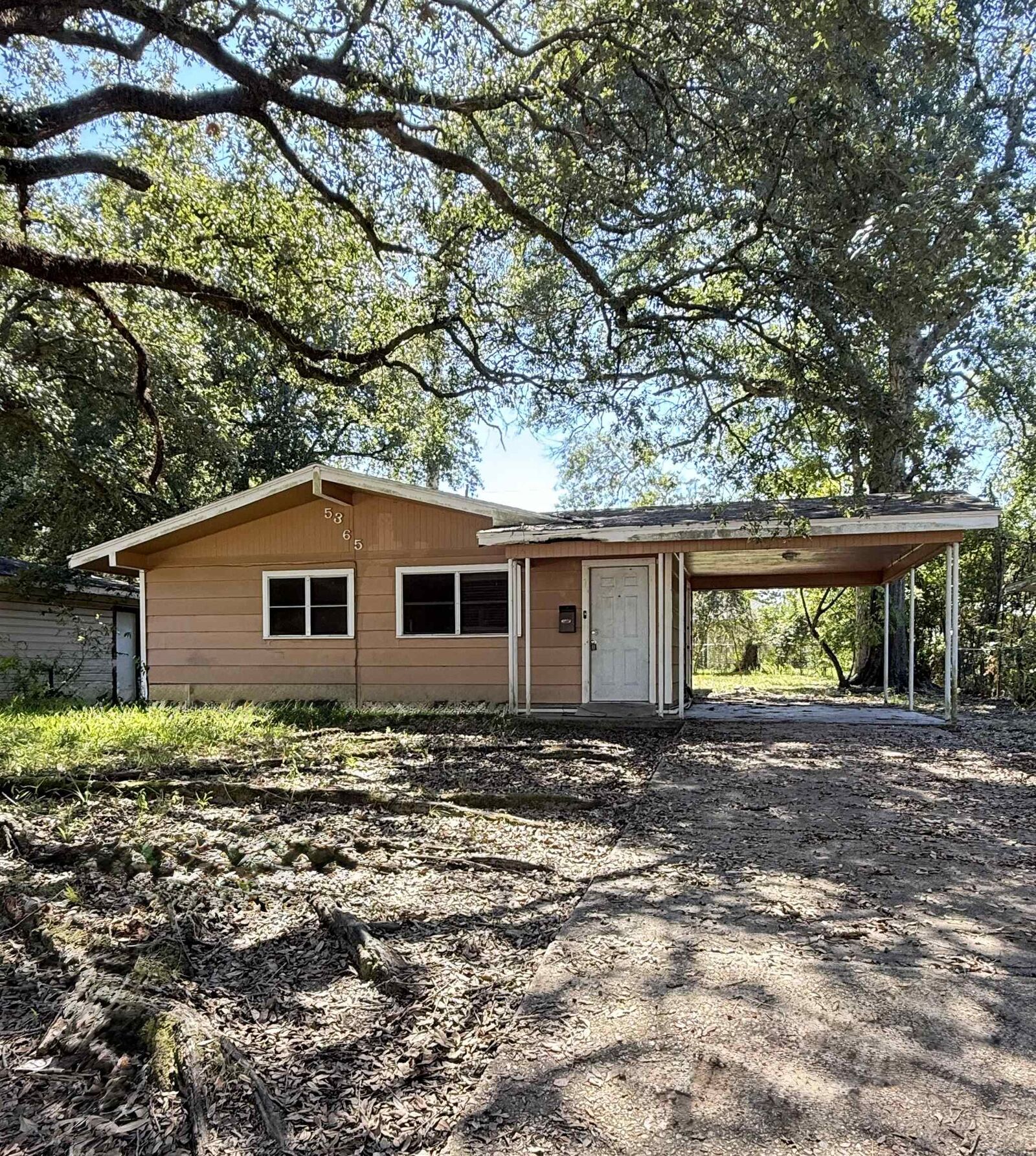 Property Photo:  5365 Dewberry Ln  TX 77708 