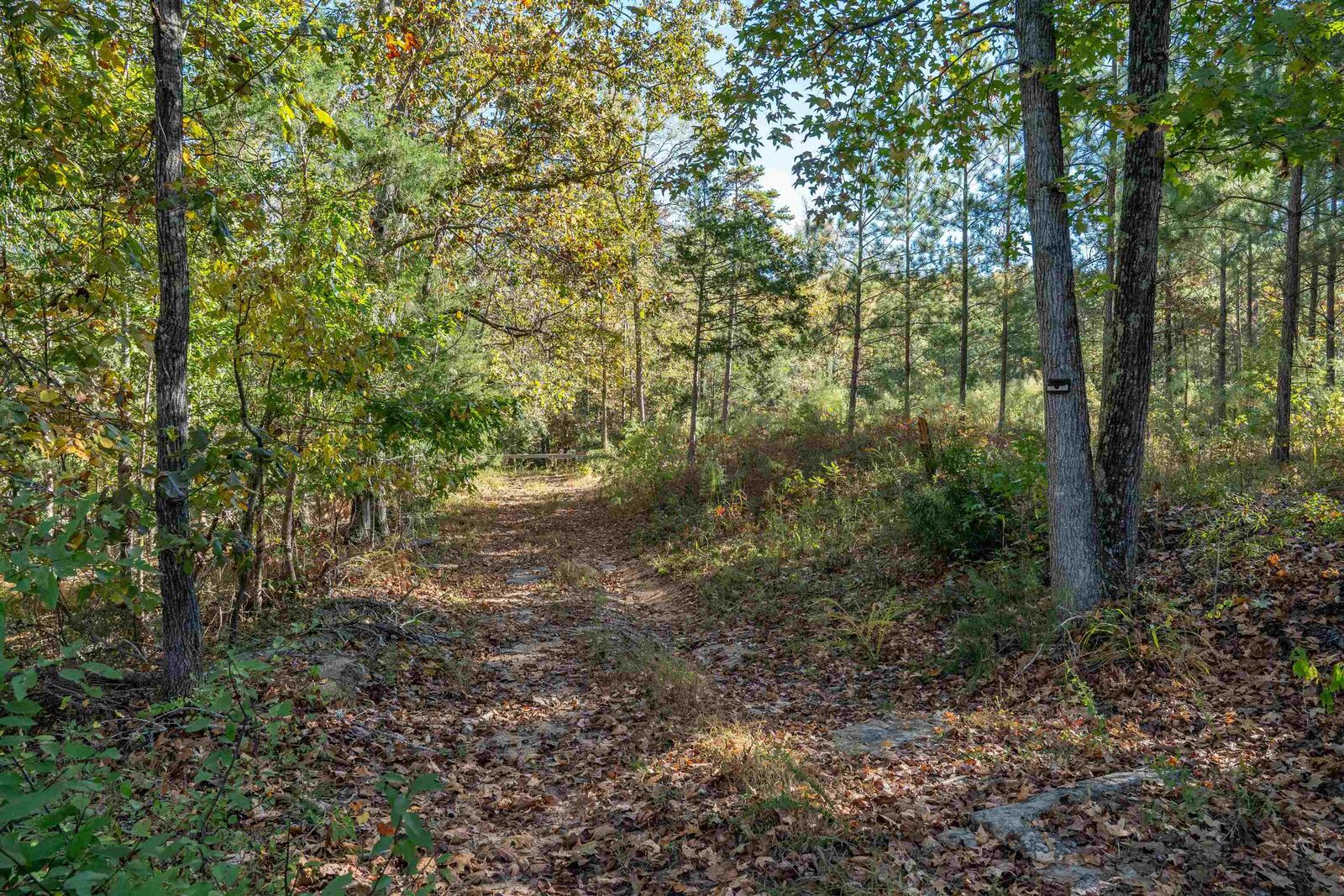 Property Photo: 735 Gwinn Mill Road *** SC 29374