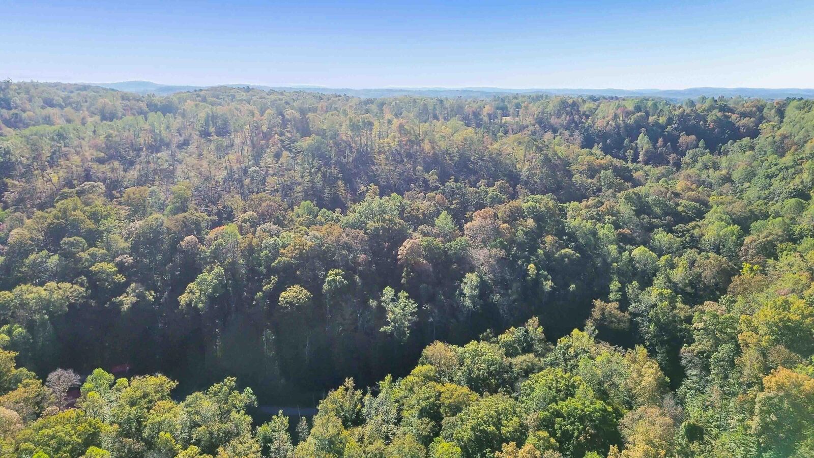 Property Photo: 791 Stoneybrook Road KY 42519
