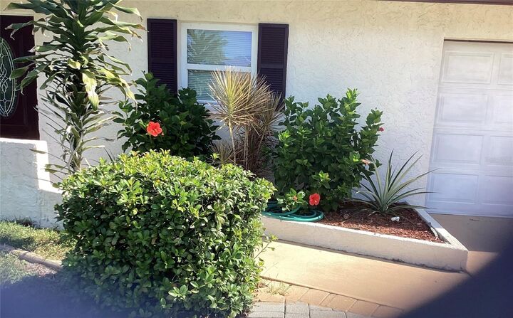 Property Photo: 1036 Hope Street FL 34285