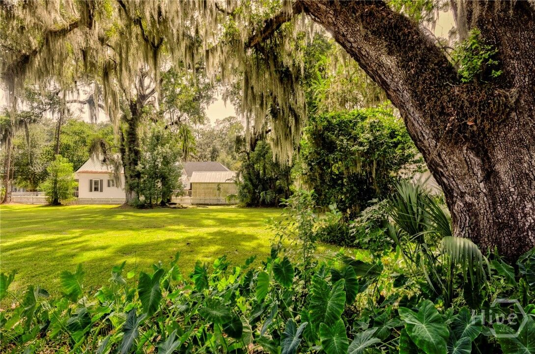 Property Photo: 13 Saint Thomas Avenue GA 31406