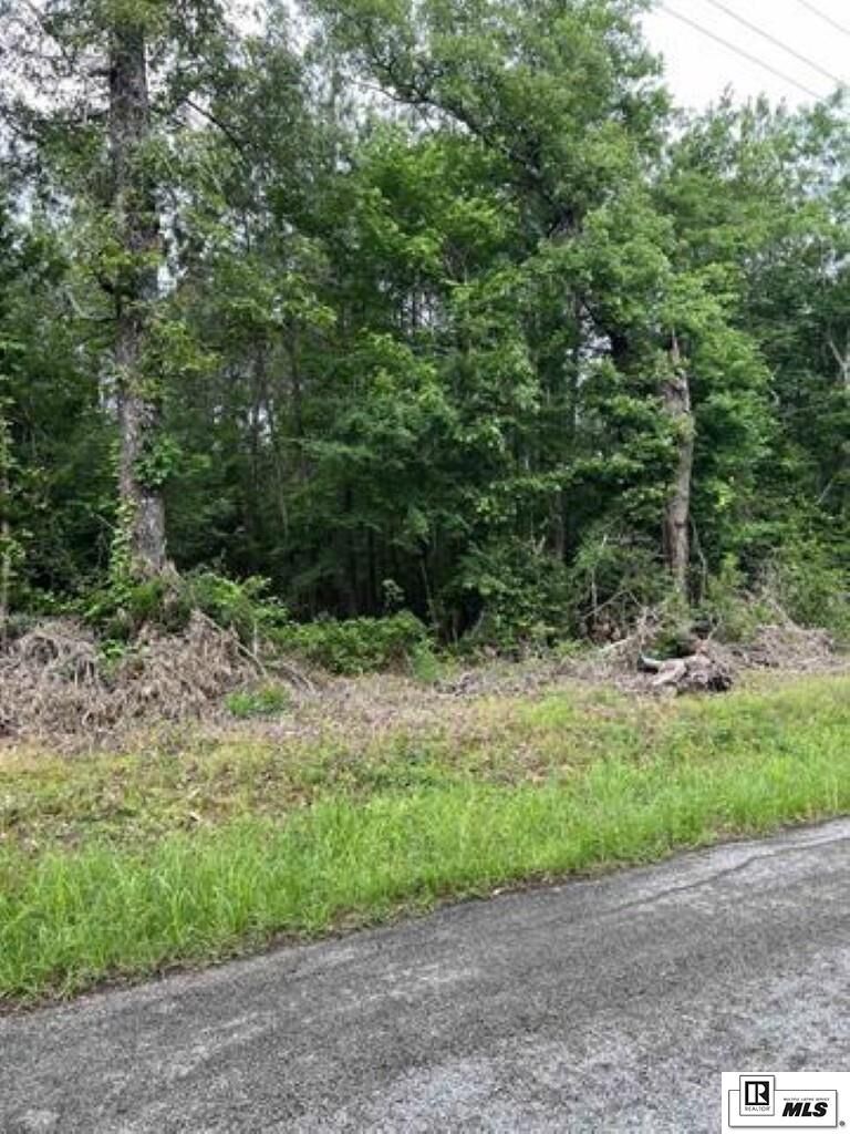 Property Photo:  Lot 2 Berry Road  LA 71435 