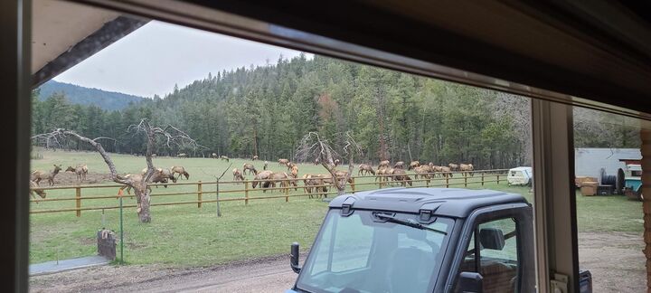 Property Photo: 7425 Deadman Gulch Court MT 59804