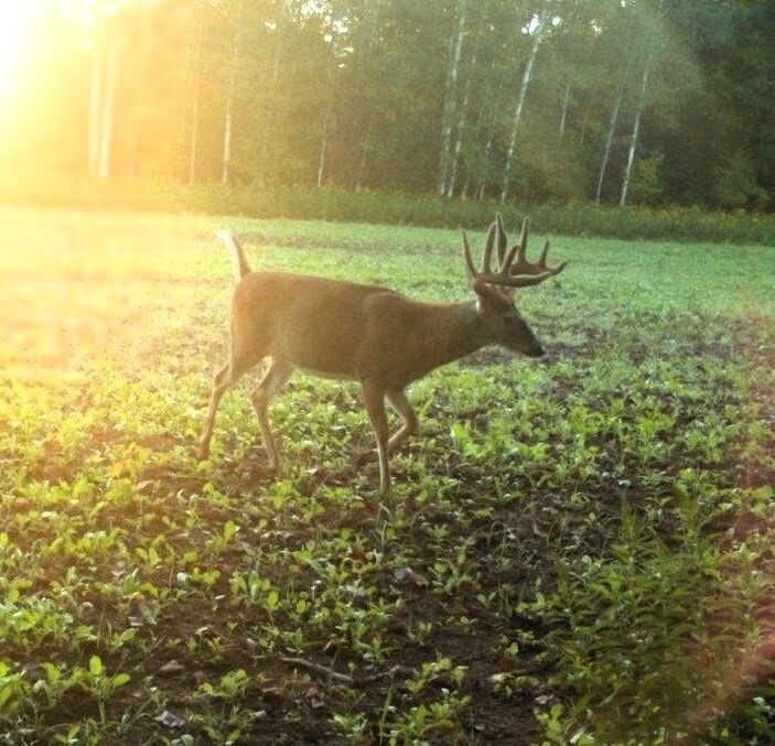 Property Photo: 110 Acres County Road O WI 54819