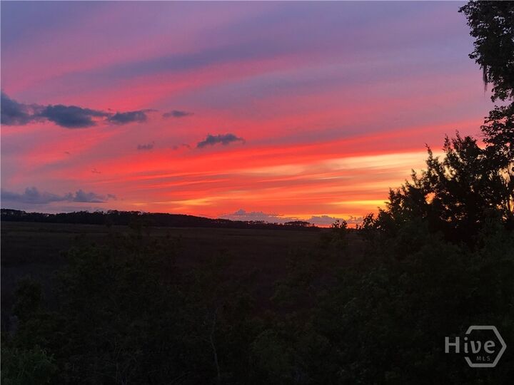 Property Photo: 120 Coffee Pointe Drive GA 31419