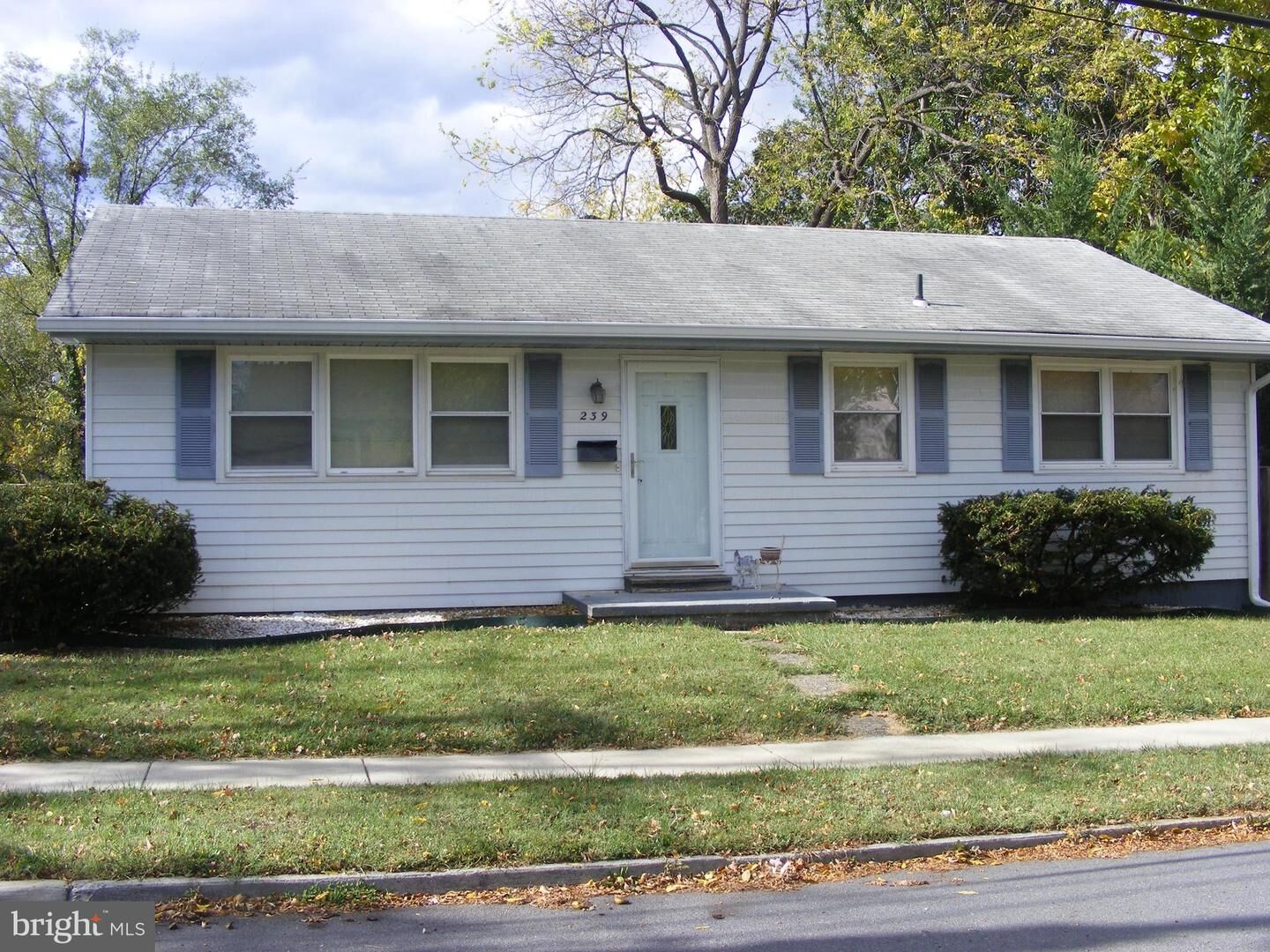 Property Photo:  239 Chestnut Street  VA 22601