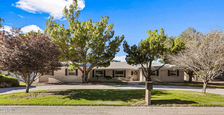 717 Live Oak Drive  El Paso TX 79932 photo
