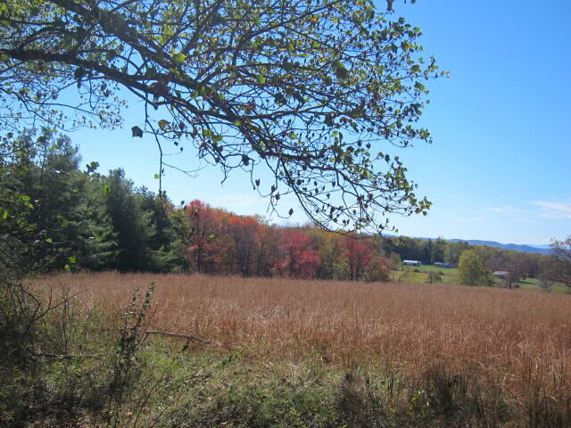 4242 Muddy Creek Mountain Rd  Alderson WV 24910 photo