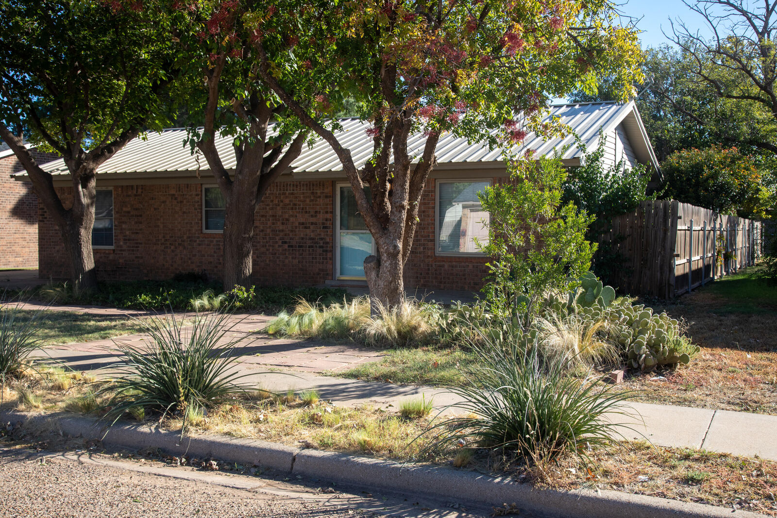 Property Photo: 820 Hickory Street TX 79329