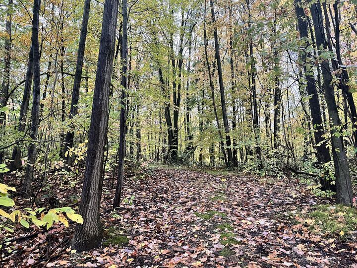 Property Photo:  6477 E 128th Street  MI 49343