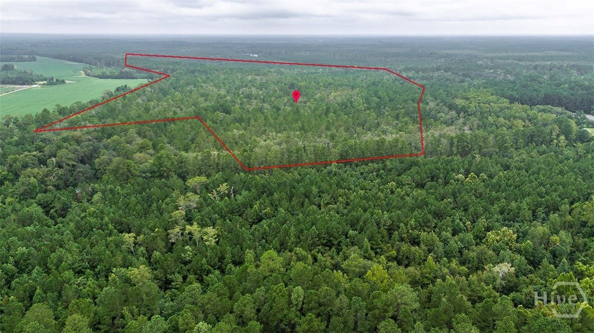 Property Photo:  0 Shearwood Road  GA 31312 