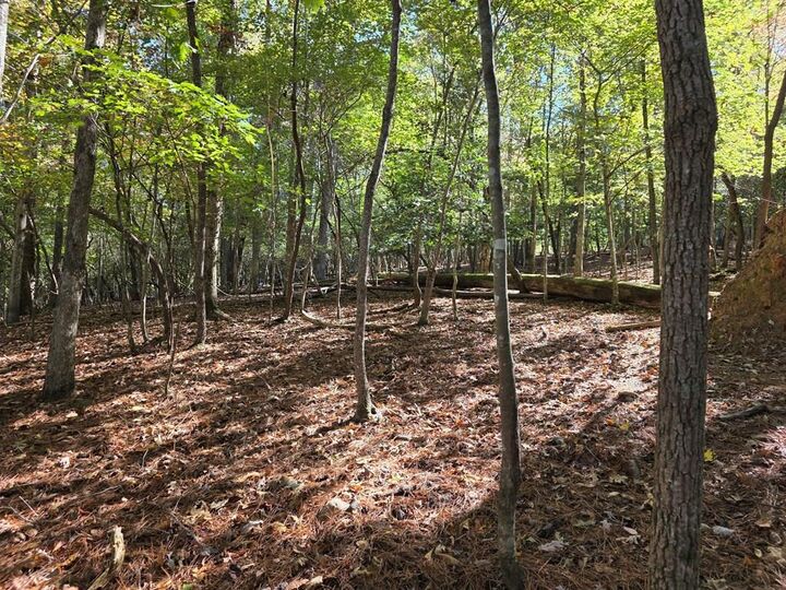 Lot #385 Zenith Trail  Ellijay GA 30540 photo