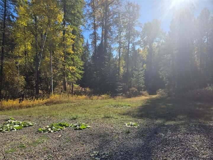 Property Photo:  49 Government Mountain Road  MT 59853 