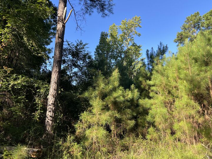 Property Photo: 1060 Deer Trail Lot 56 SC 29142