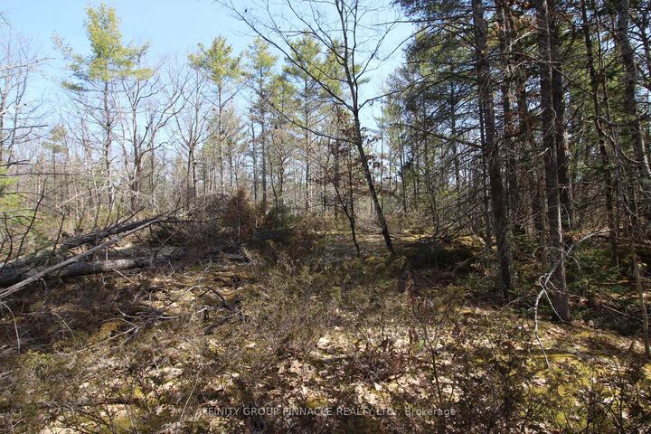 Property Photo:  Lot 15 Concession 9 N/A  ON K0L 1J0 