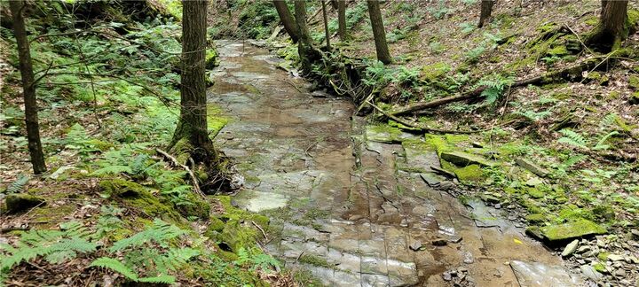 Property Photo: Hagerman NY 14892