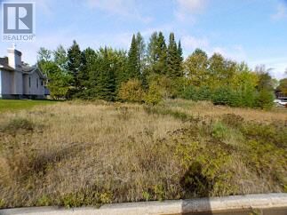 2 Sandy Beach Mews  Dryden ON P8N 3J6 photo