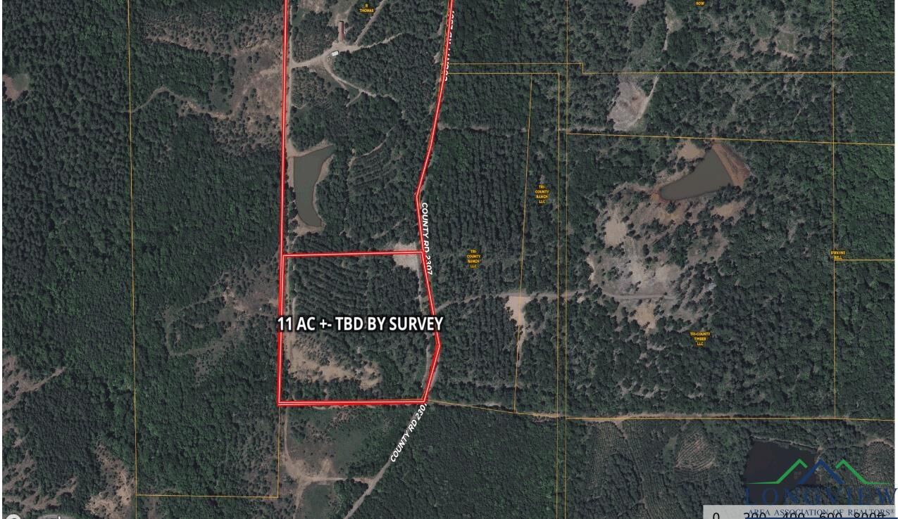 Property Photo:  0000 Cr 2307 Beasley Rd  TX 75668 