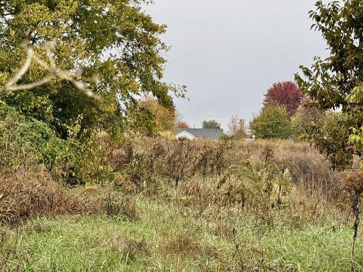 Property Photo:  1 Ky Hwy 1194 0  KY 40484 