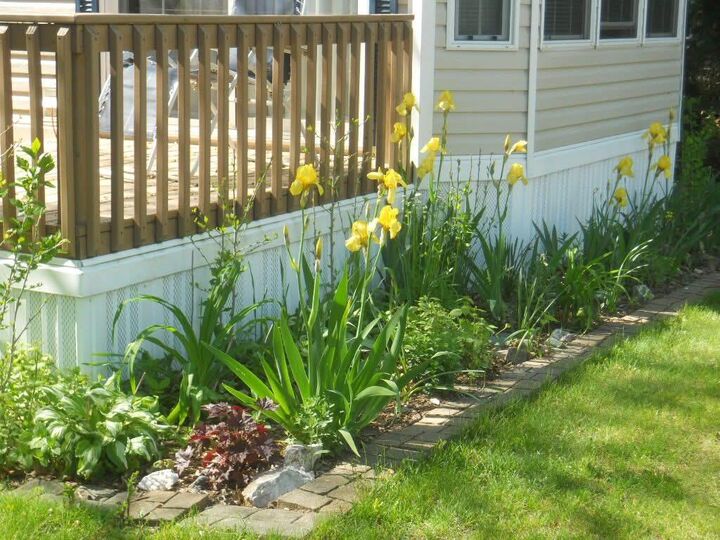 Property Photo:  6473 Blue Star Highway 12  MI 49453 