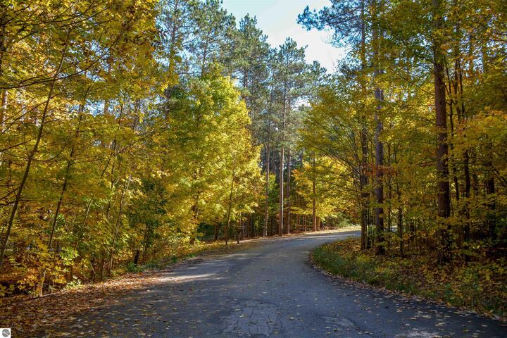 Property Photo:  W Timber Lane  MI 49630
