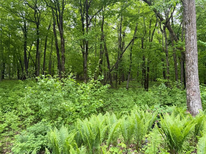 Property Photo: 8309 County Road 19 SE MN 55904