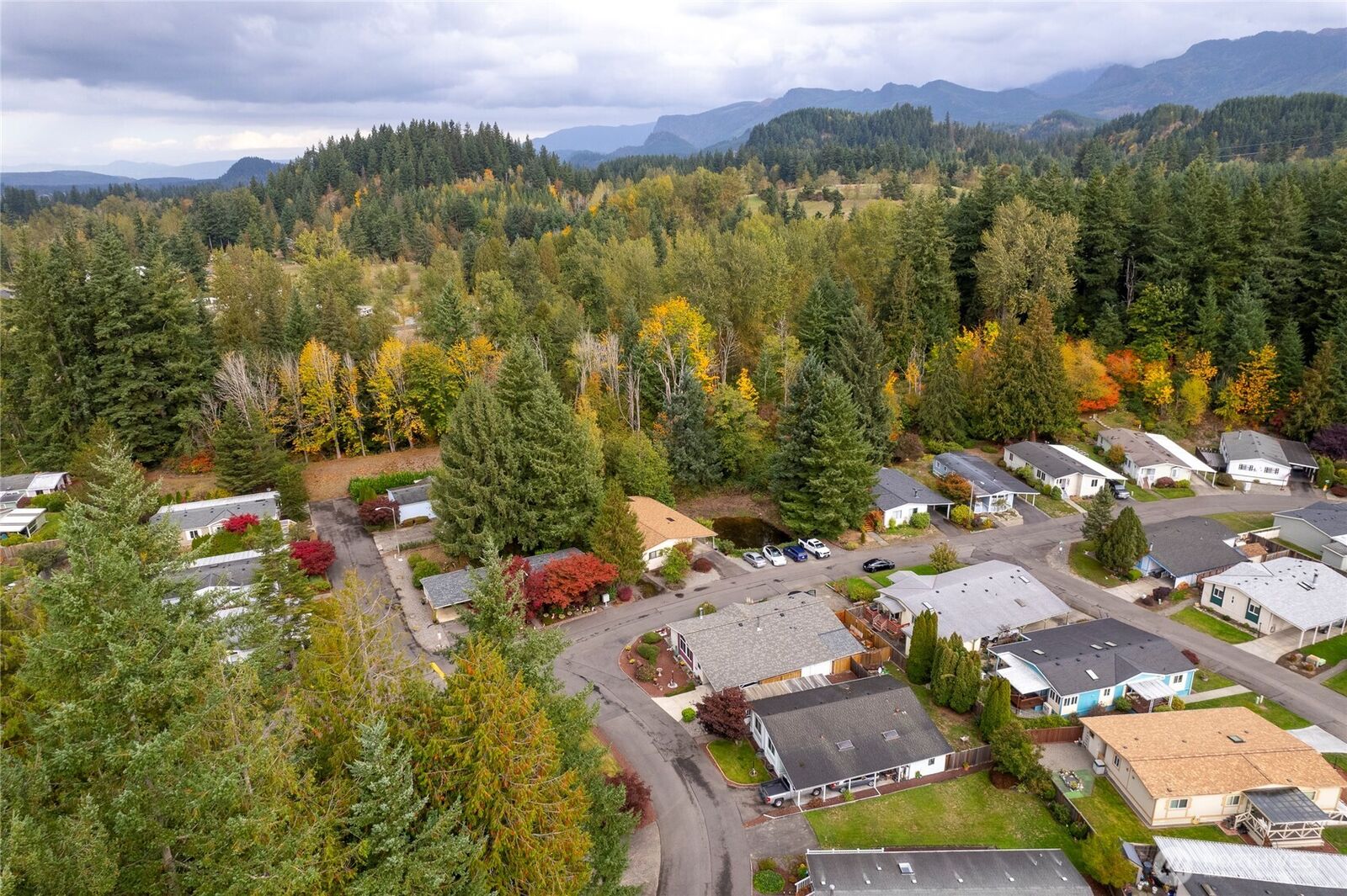 Property Photo:  1555  Kimberly Avenue E 41  WA 98022 