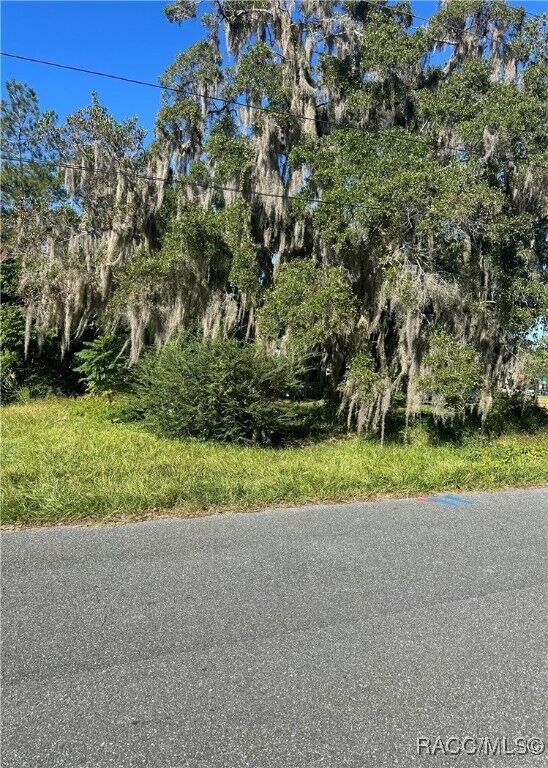 Property Photo:  Lot 8 NE 1st Street  FL 32696 