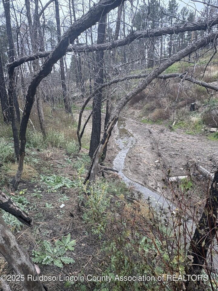 143 Barney Luck Trail  Ruidoso NM 88345 photo