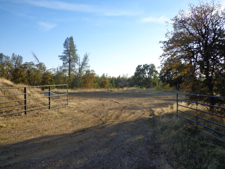 Property Photo:  Rolling Ridge Road  CA 96022 