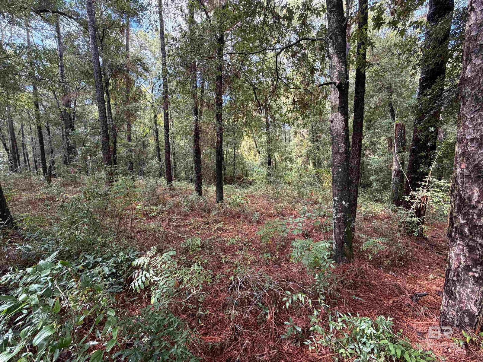 Property Photo:  0 Victorian Drive  AL 36532